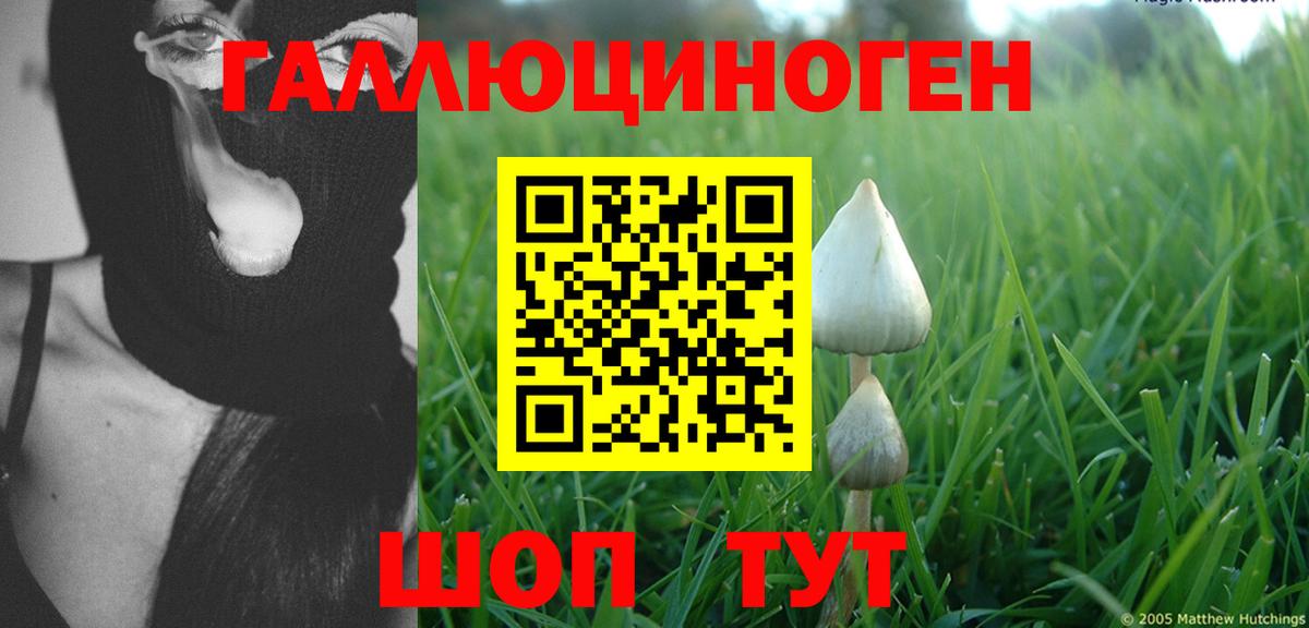 Галлюциногенные грибы прущие грибы  Псилоцибиновые грибы прущие грибы  Псков  Вход с VPN 
